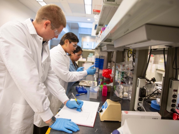 Interns in lab